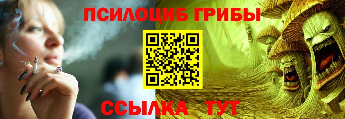 Псилоцибиновые грибы Magic Shrooms  Вход с VPN  купить закладку  Тайшет 